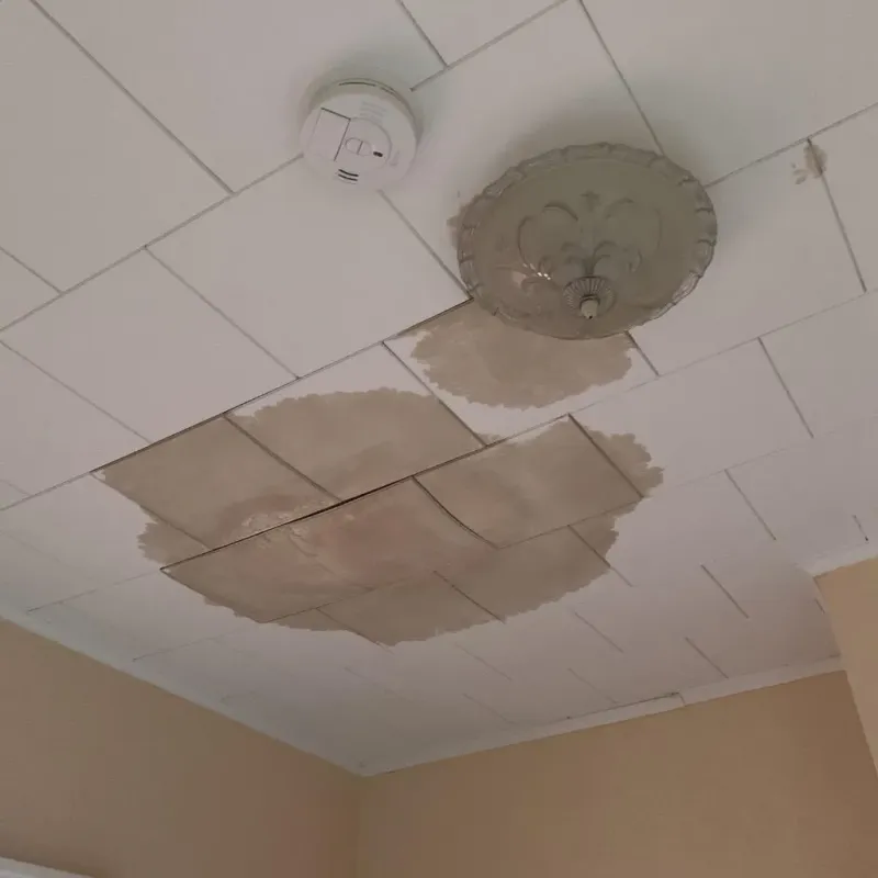 Ceiling Water Damage Repair in Menard County, TX