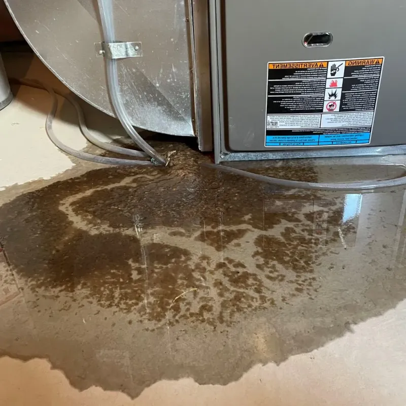 Pipe Burst and Leak Restoration in Menard County, TX