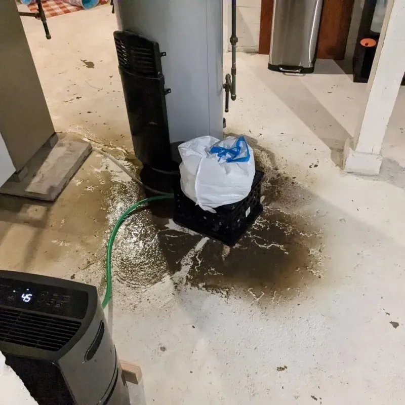 Sewage Backup Cleanup Service in Menard County, TX